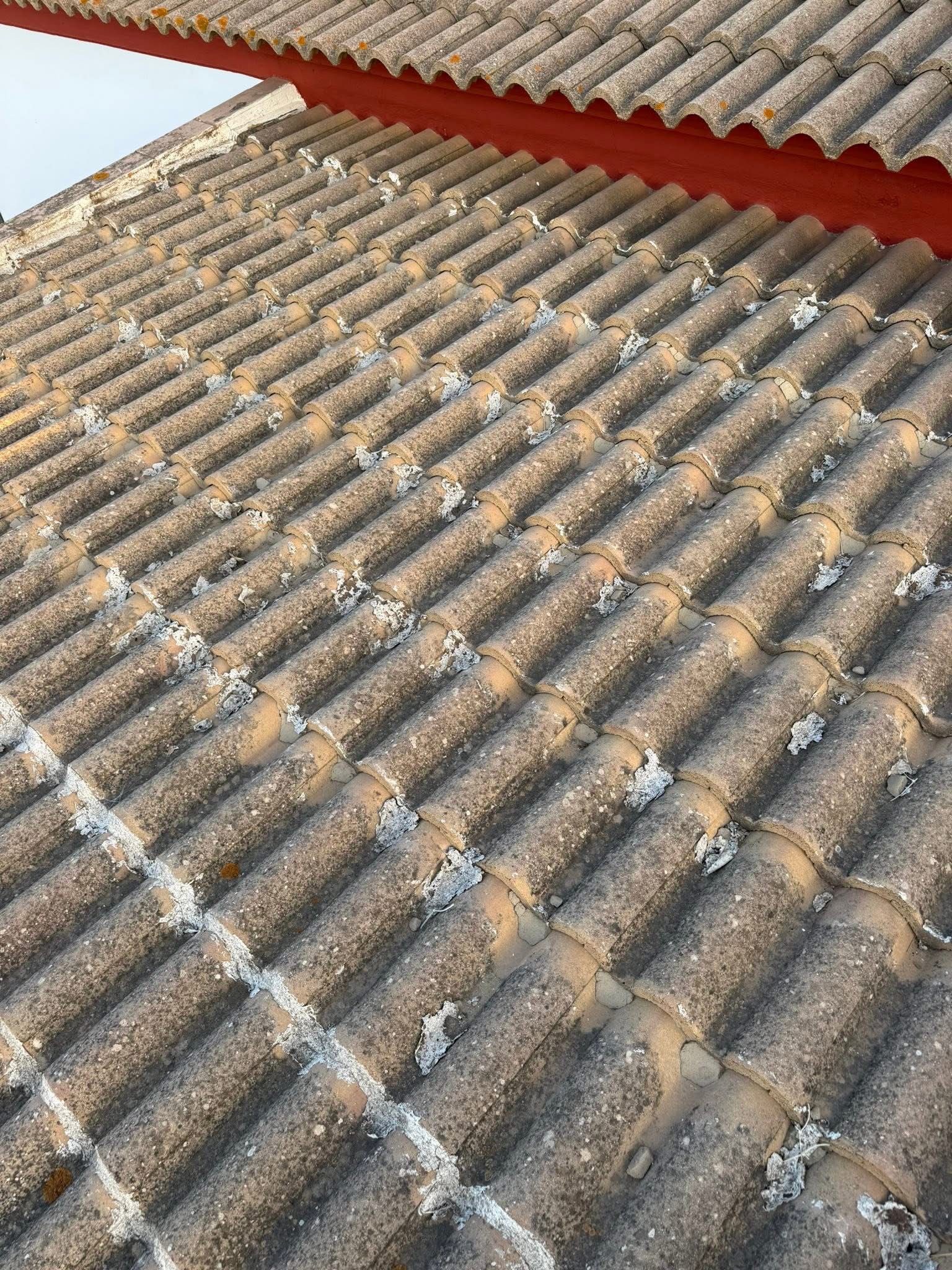 Techo de teja impermeabilizante antes